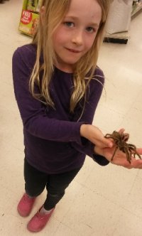 Addison and tarantula