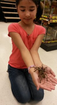 Adrianna and tarantula