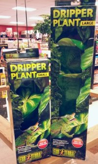 Dripper Plant