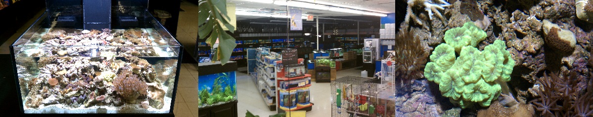 Fish Department