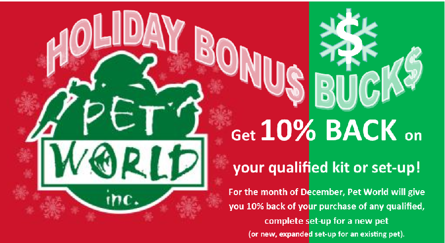 Holiday Bonus Bucks